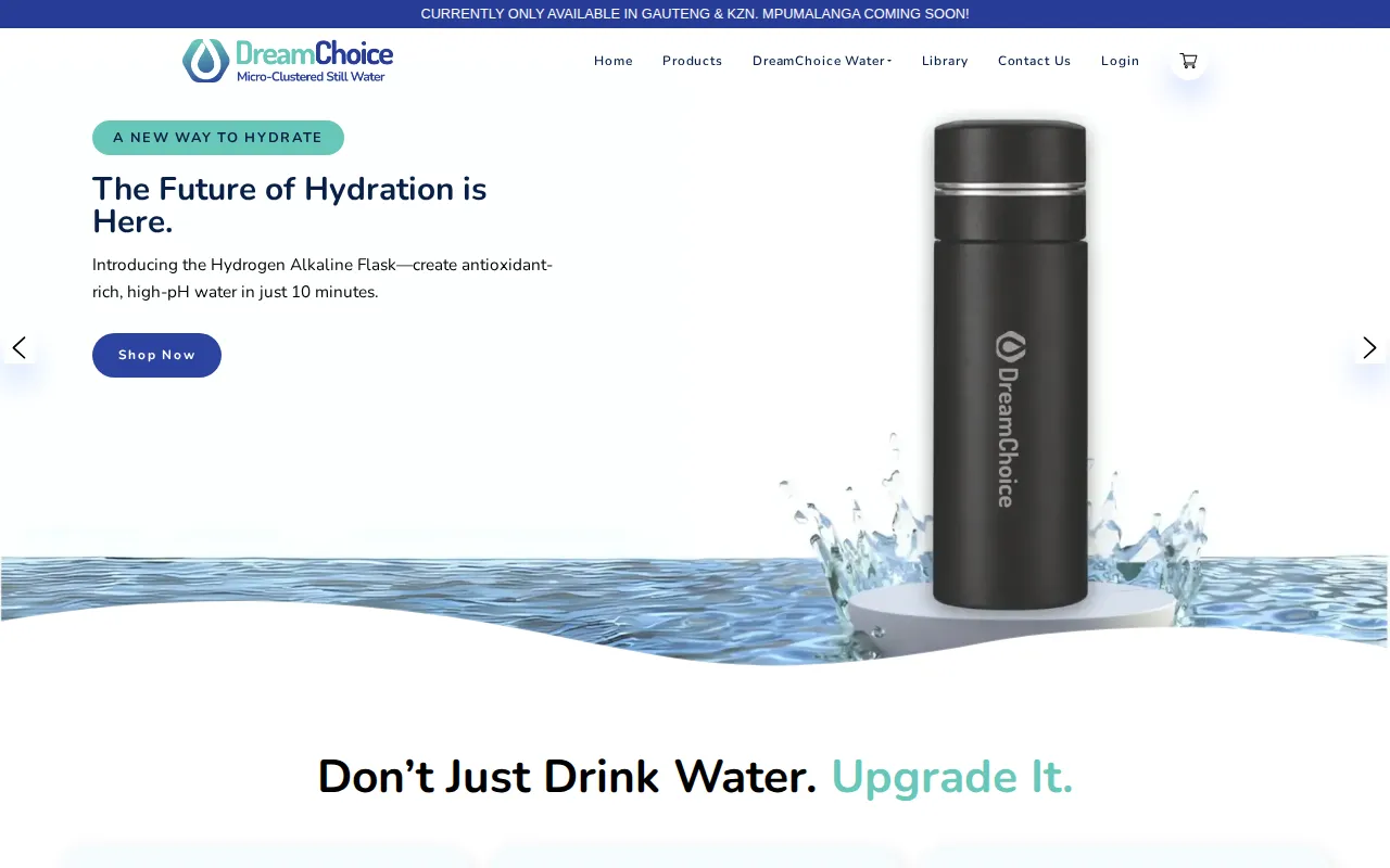 DreamChoice website